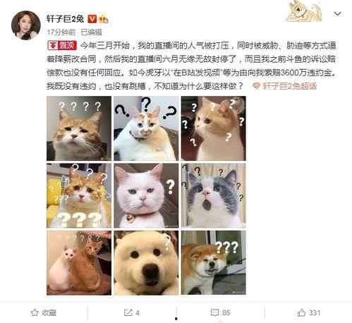 兔子爆料的视频,幕后真相大曝光