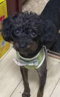 兔子爆料的视频,幕后真相大曝光  第2张